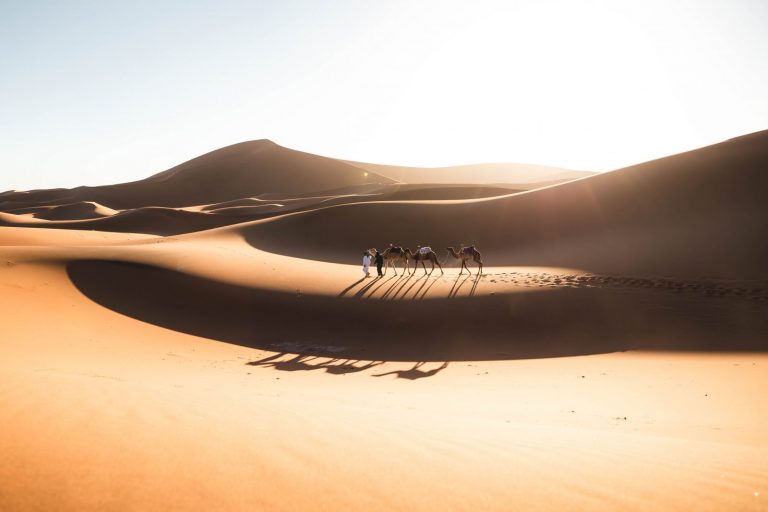 Authentic Desert Trekking in M'hamid or Merzouga