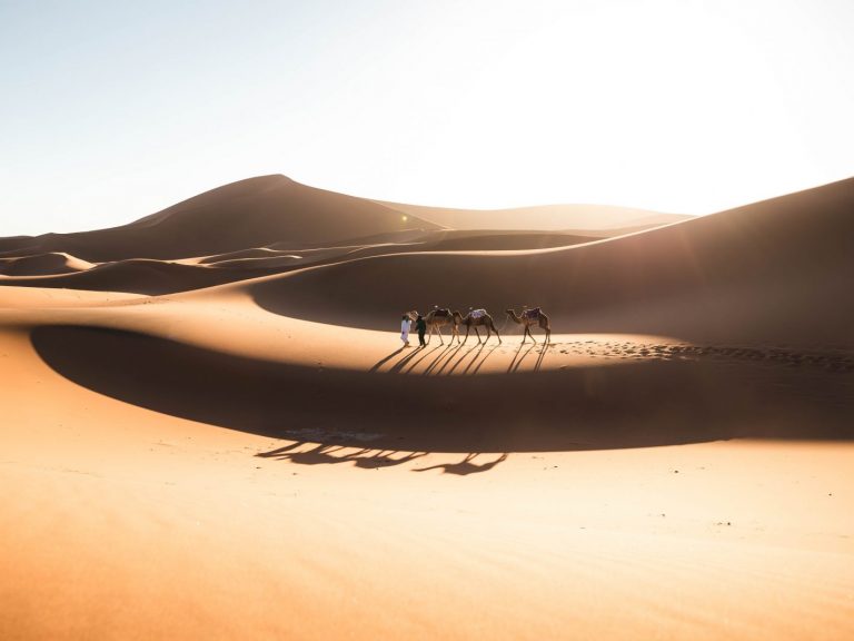 Authentic Desert Trekking