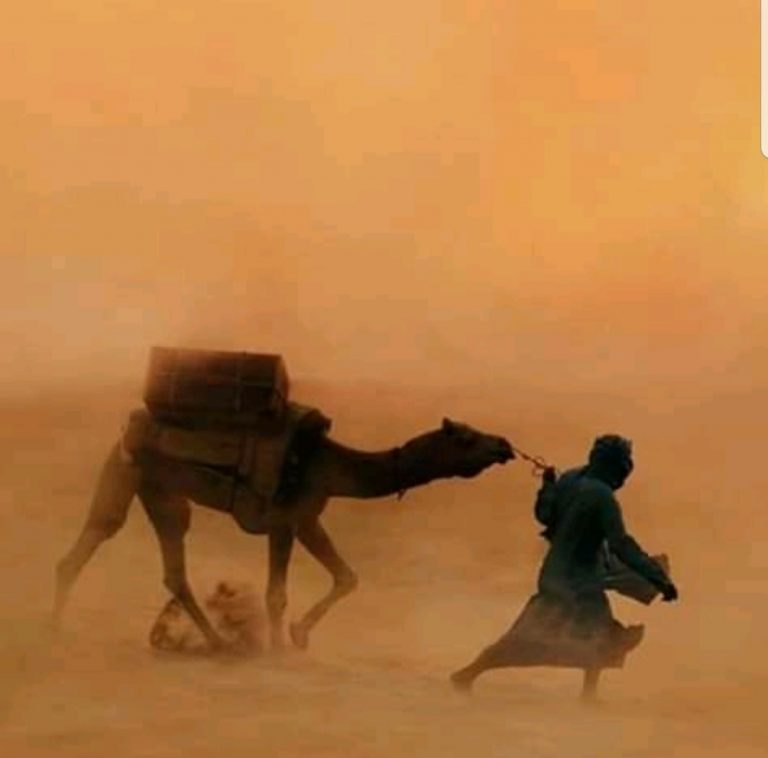 The Road to Salt sand storm